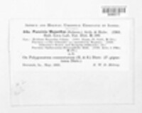 Image Associated With the Occurence